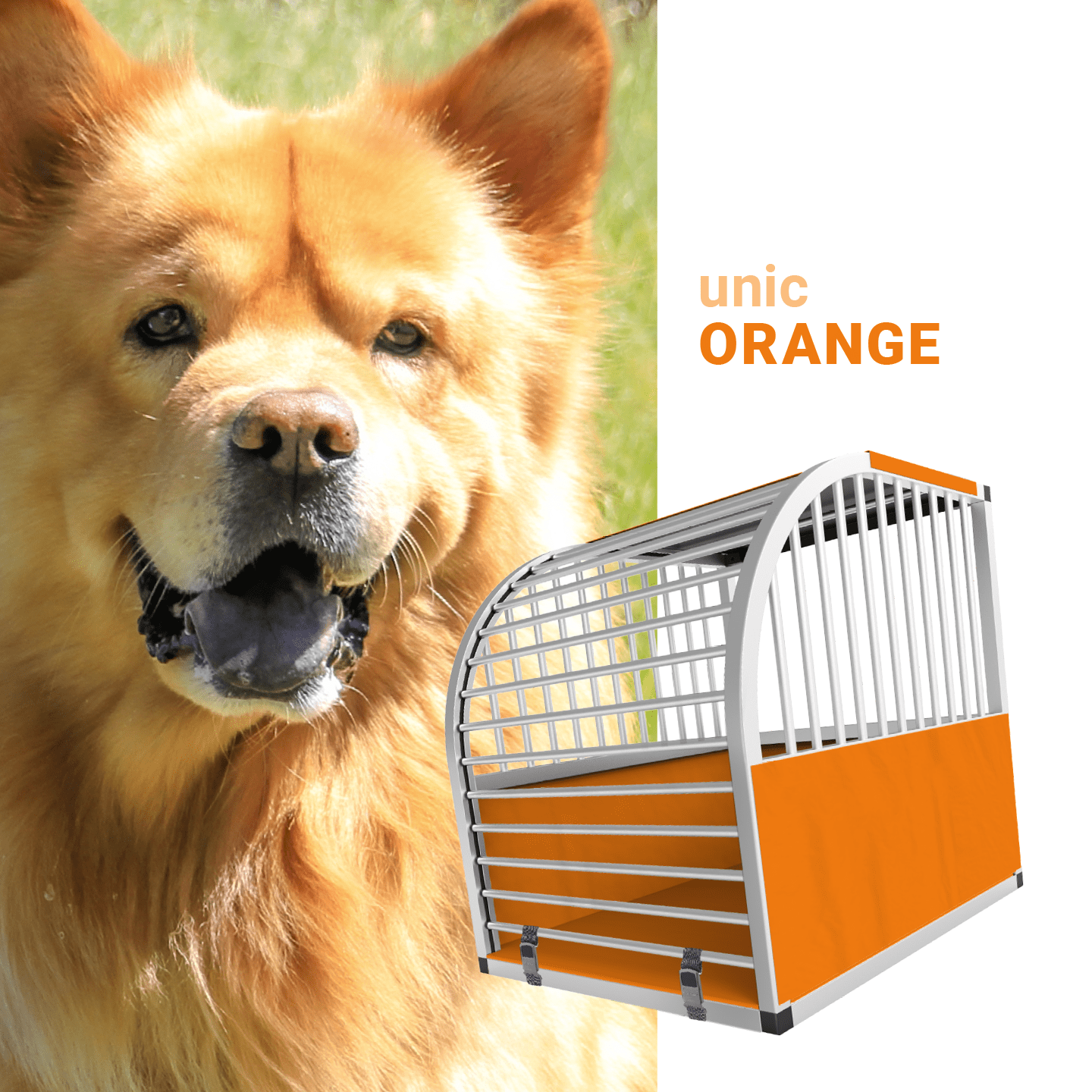 UNIC Hundebox large – Made in Germany
